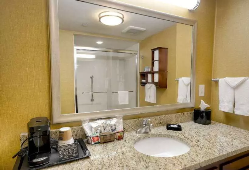 Hotel Hampton Inn & Suites Tifton