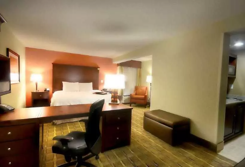 Hotel Hampton Inn & Suites Tifton