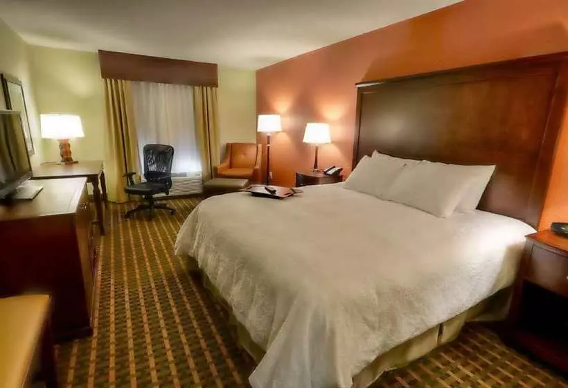Hotel Hampton Inn & Suites Tifton