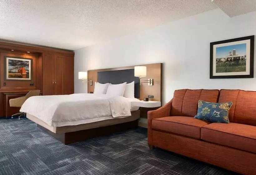 هتل Hampton Inn By Hilton Wausau
