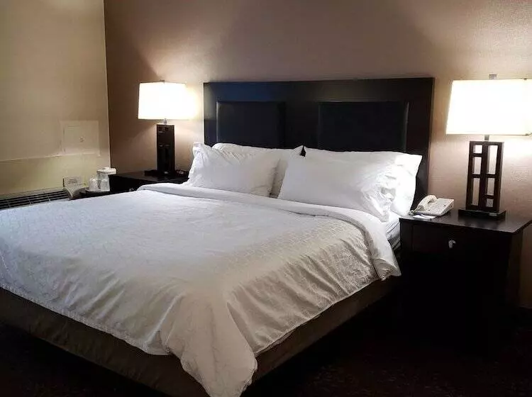 호텔 Holiday Inn Express Detroit Birmingham, An Ihg