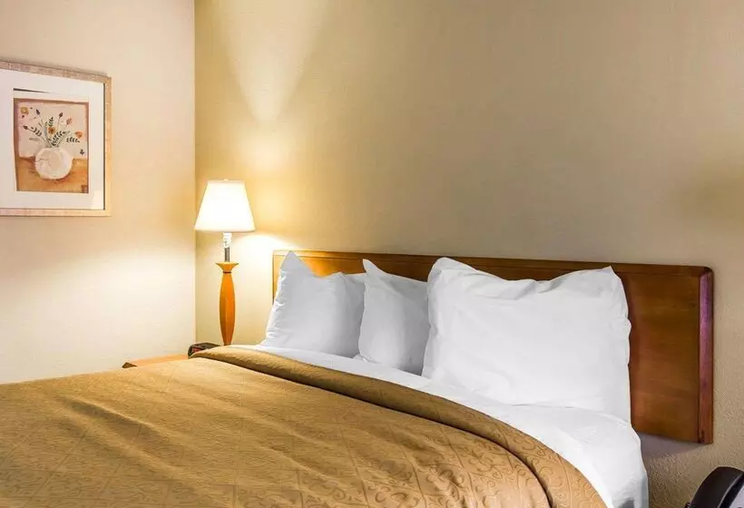 ホテル Quality Inn At The Mall  Valdosta