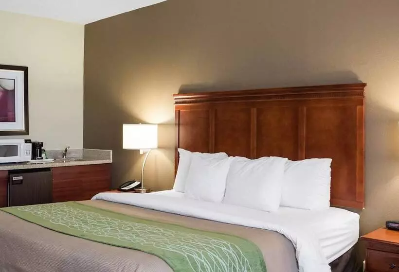 Отель Quality Inn