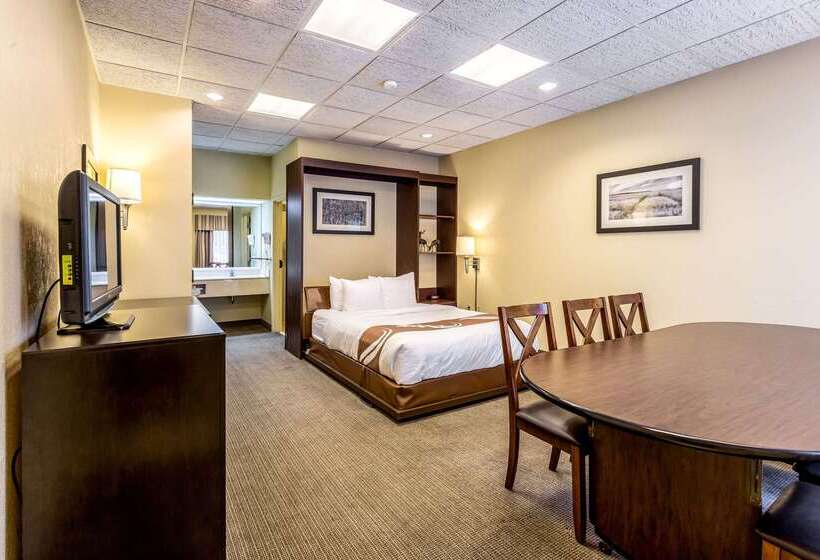 בית מלון כפרי Quality Inn Union City Us 51