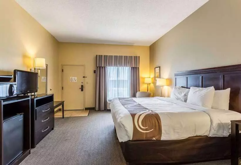 فندق Quality Inn Union City Us 51