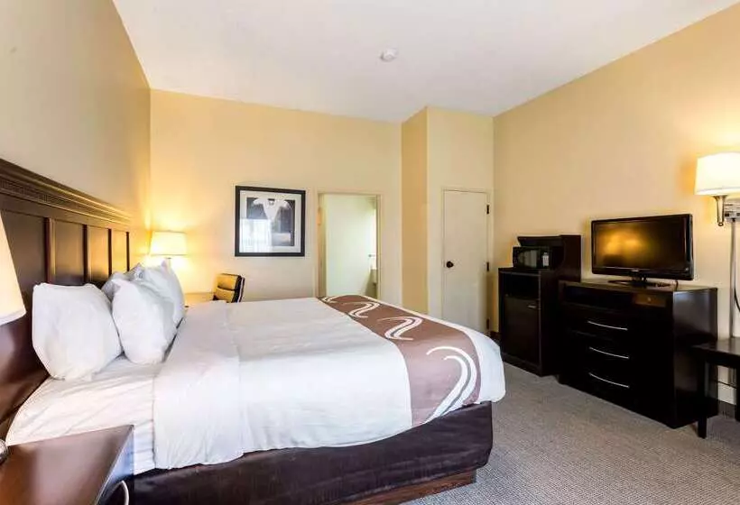فندق Quality Inn Union City Us 51