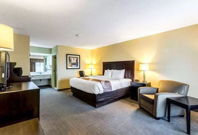 فندق Quality Inn Union City Us 51