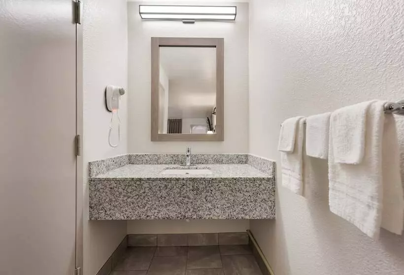 ホテル Red Roof Inn Birmingham South