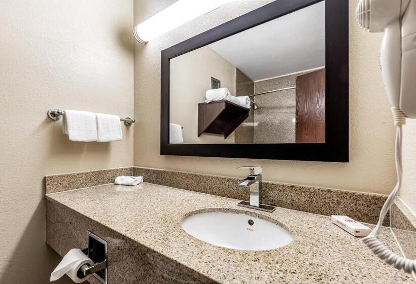 Hotel Red Roof Inn Plus & Suites Houston   Iah Airport Sw