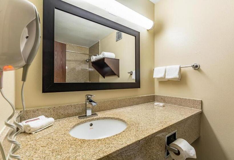 Hotel Red Roof Inn Plus & Suites Houston   Iah Airport Sw