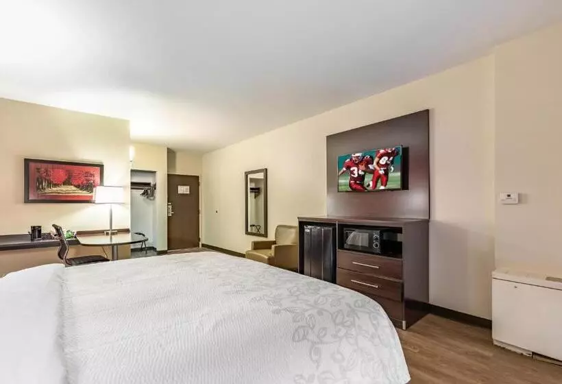 ホテル Red Roof Inn Plus & Suites Houston   Iah Airport Sw