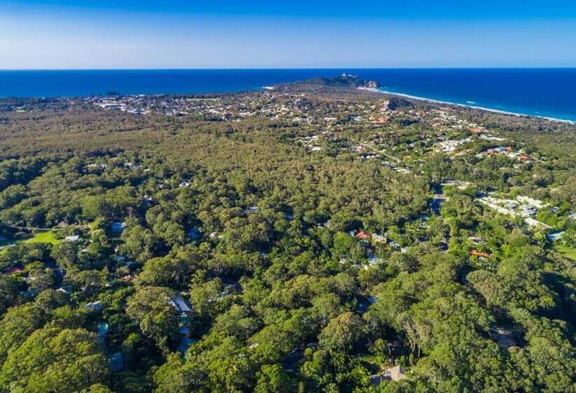 A Perfect Stay Black Star