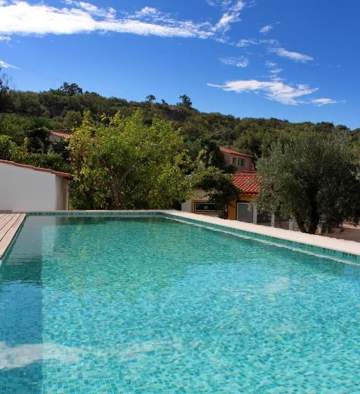 Aromas Dos Salgueiros