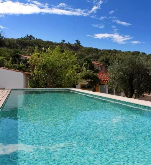 Aromas Dos Salgueiros