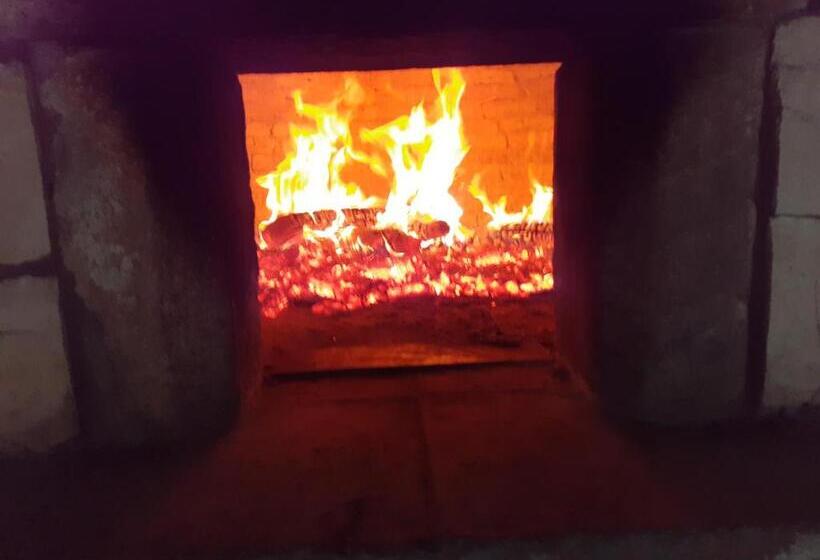 Aromas Dos Salgueiros