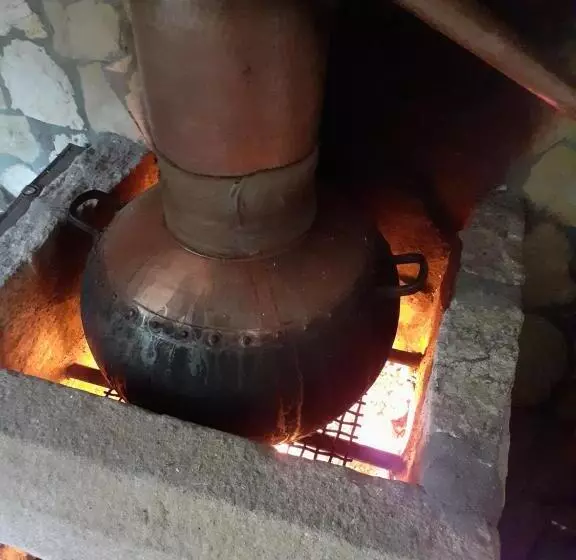 Aromas Dos Salgueiros