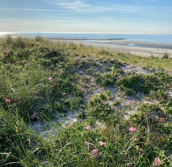 Ferienwohnung Gustav Moderne Maisonette Wohnung Mit Terrasse