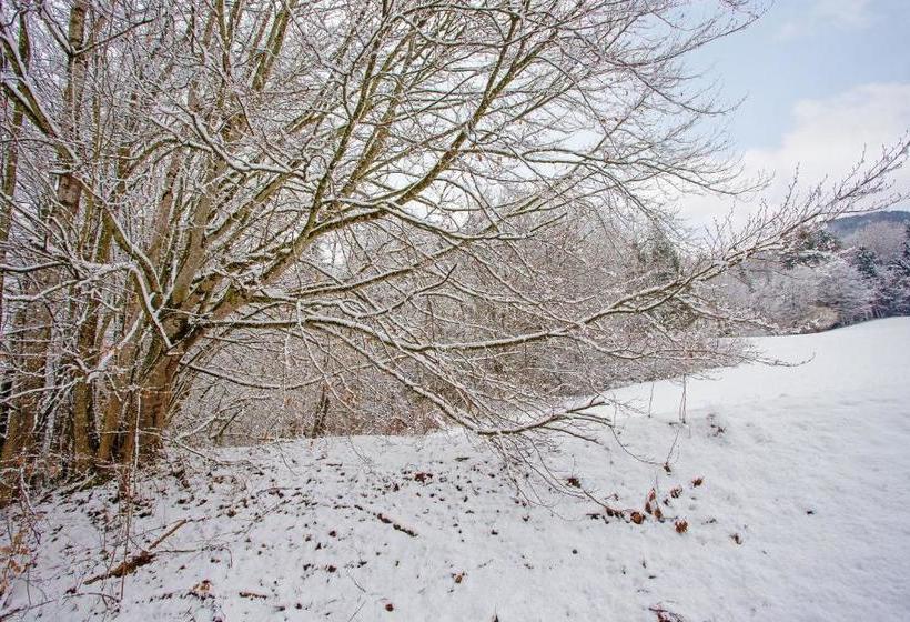 Ferienwohnung König