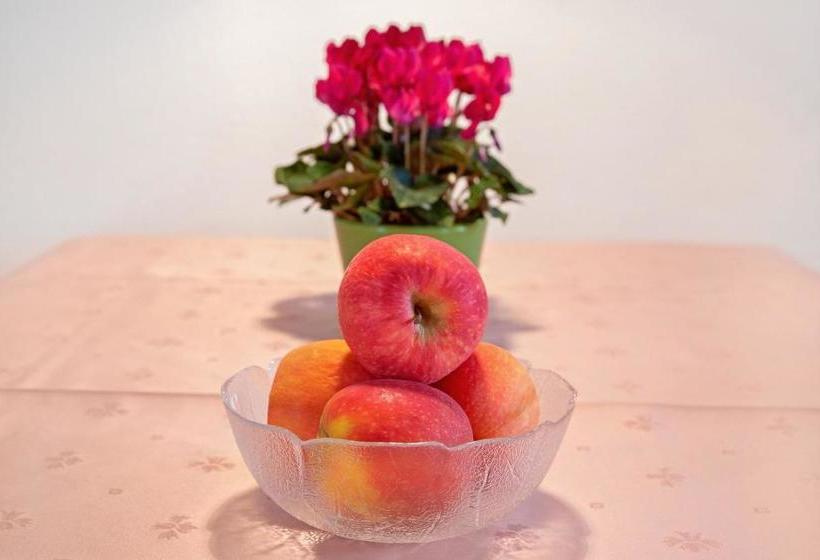 Ferienwohnung König