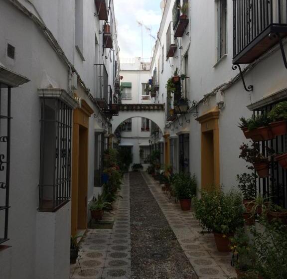 Lujosa Vivienda En Plena Judería