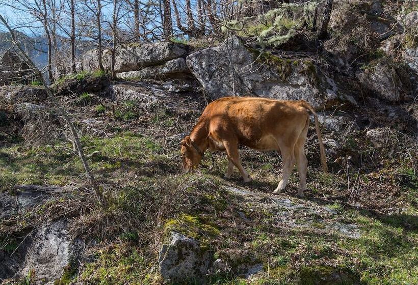 Macheta S Coutry House