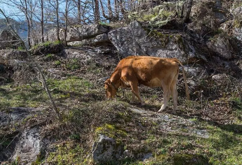 Macheta S Coutry House