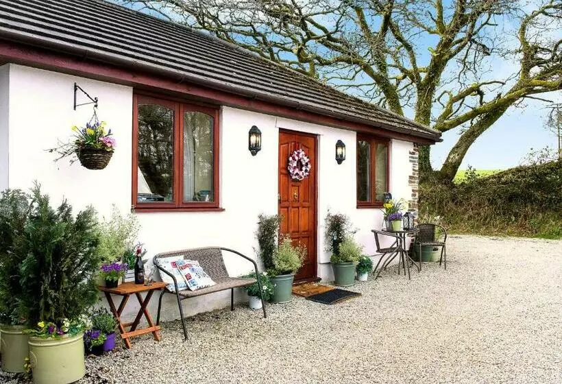 The Studio With Terrace And Ev Point