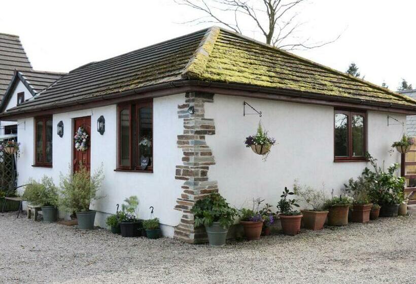 The Studio With Terrace And Ev Point