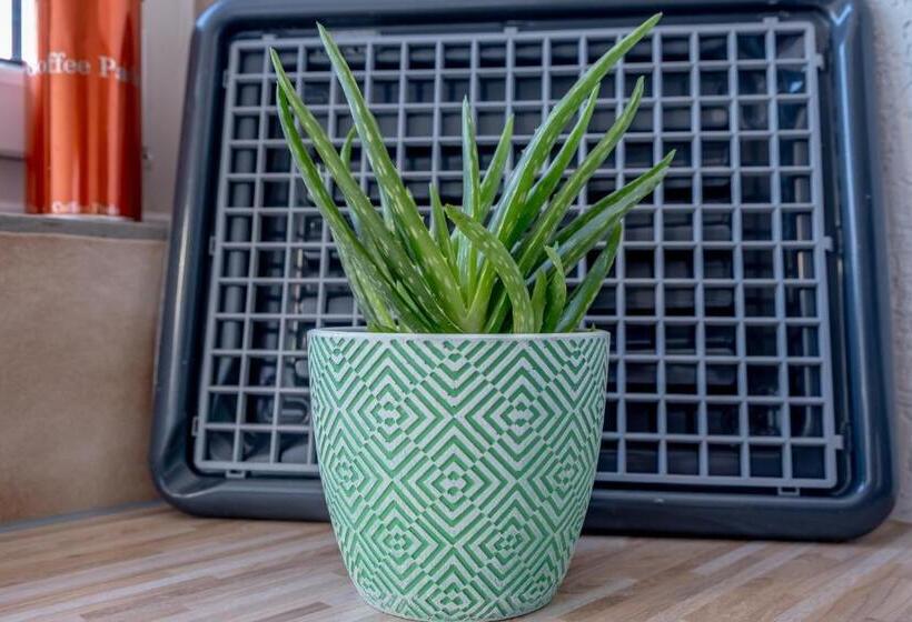 Helles Appartement Mit Eigenem Stellplatz