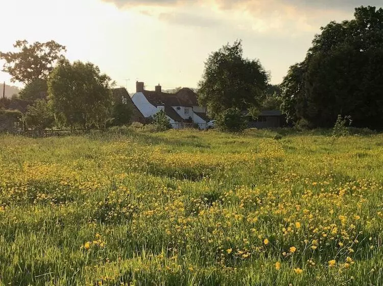 Aamiaismajoitus (B&B) Home Farm