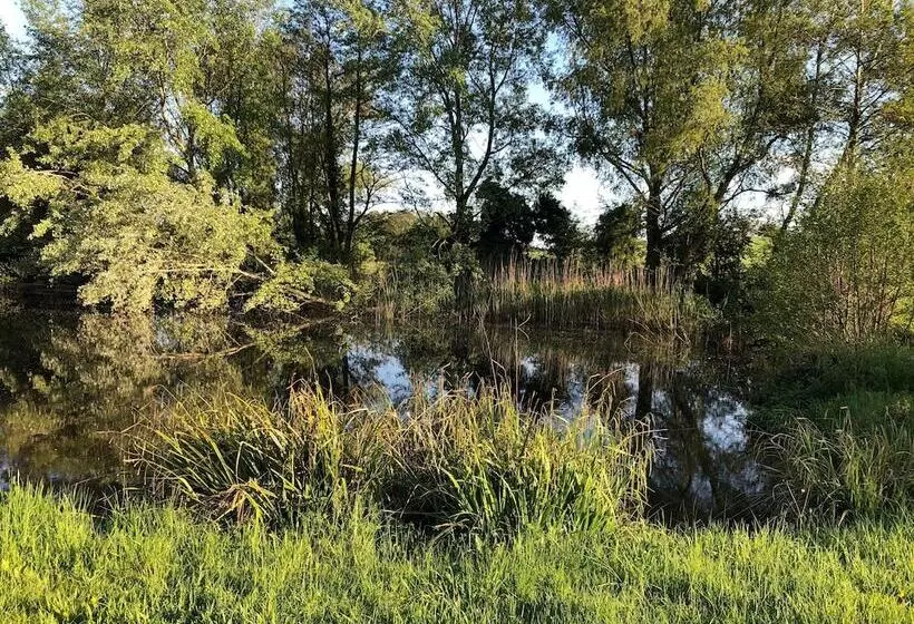 Aamiaismajoitus (B&B) Home Farm