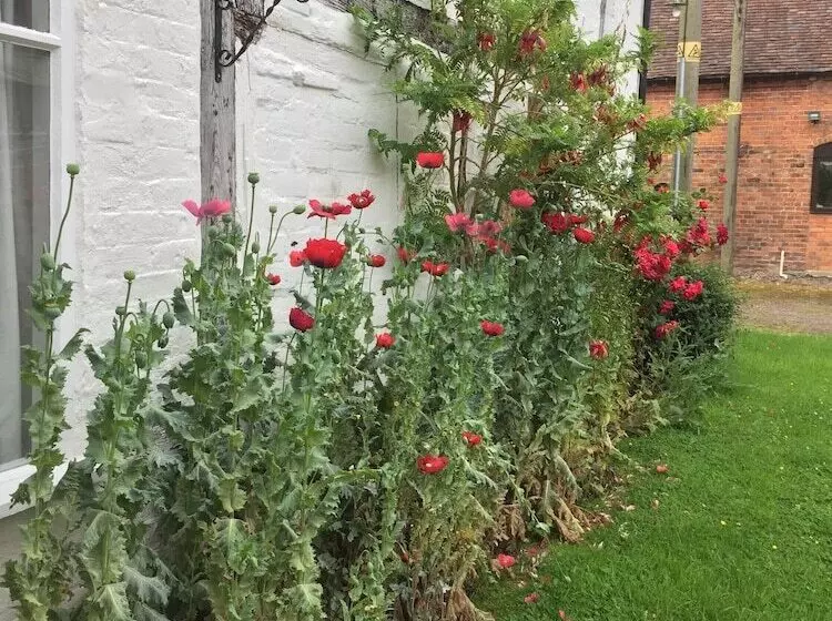Aamiaismajoitus (B&B) Home Farm