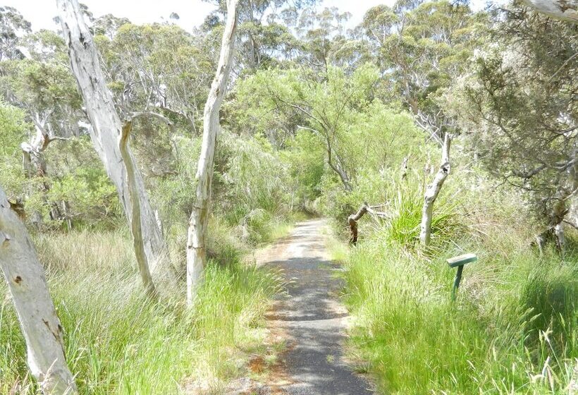 בית מלון כפרי Walpole Rest Point Caravan Park