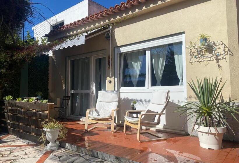 Pension Màhouse Guesthouse