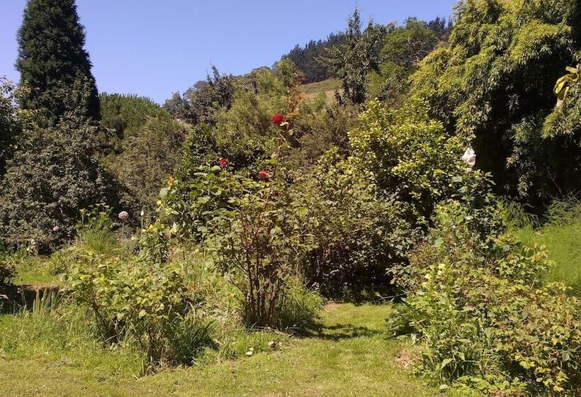 Apartamentos La Collada