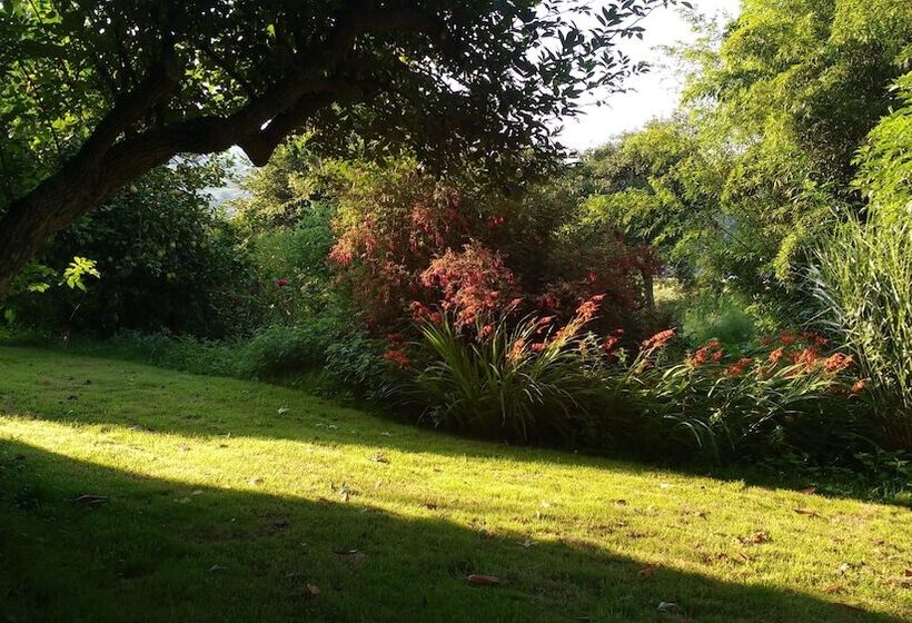 Apartamentos La Collada