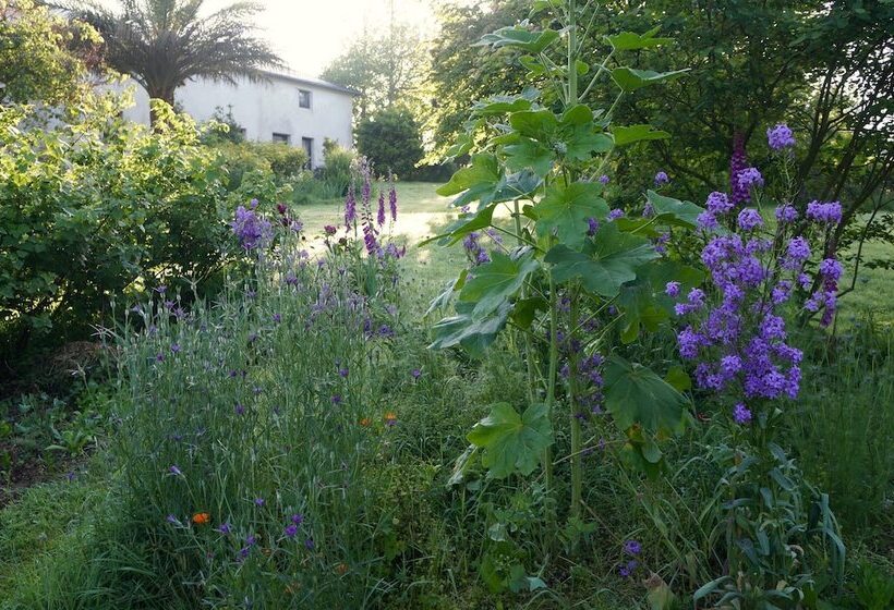 Apartamentos La Collada