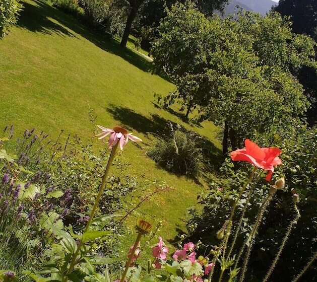 Apartamentos La Collada