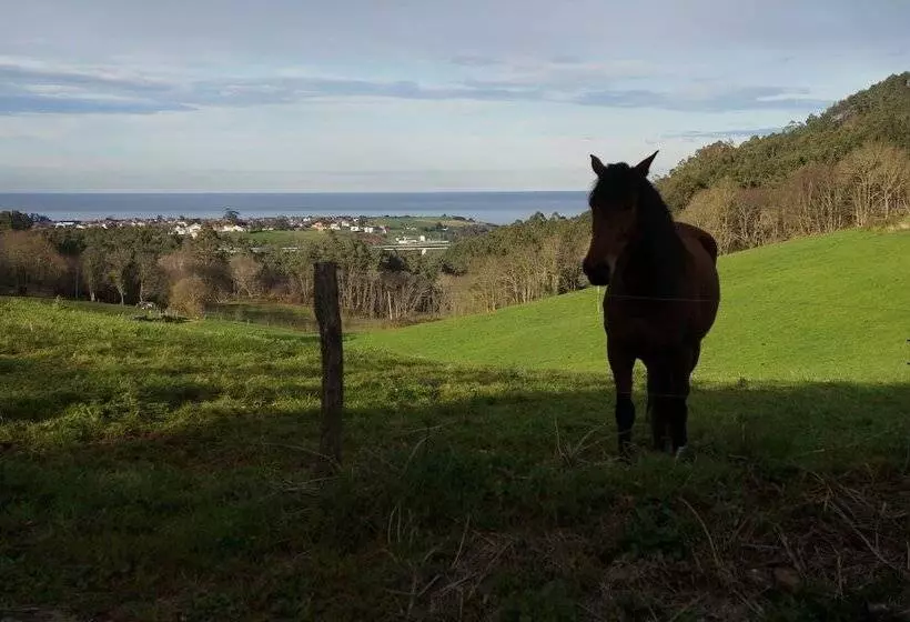 Apartamentos La Collada