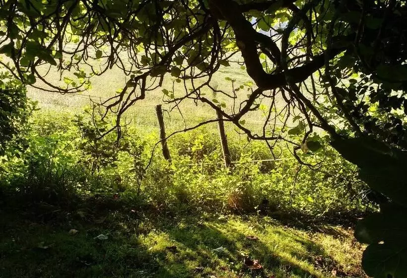 Apartamentos La Collada
