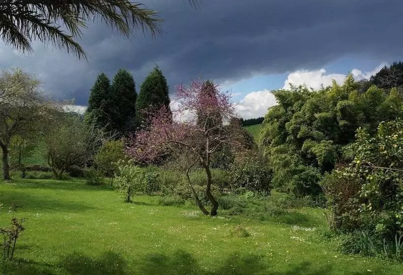 Apartamentos La Collada