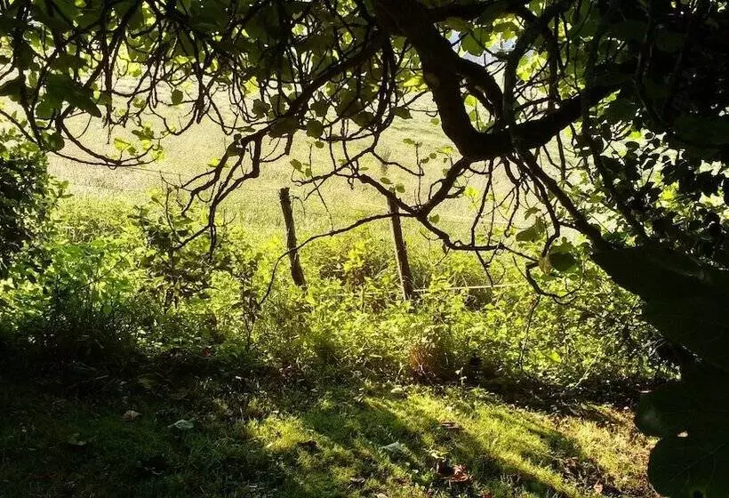Apartamentos La Collada