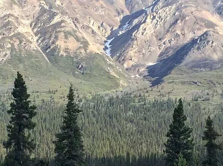 Hotelli Wood River Lodge   Side By Side,jet Boat Transport Included, Flight Optional   Not Included