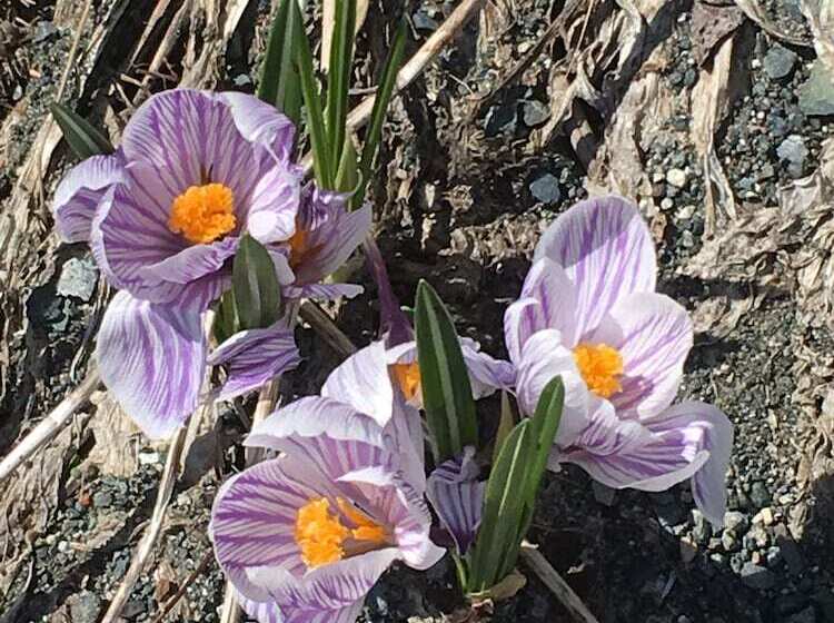 فندق Wood River Lodge Side By Side,jet Boat Transport Included, Flight Optional Not Included