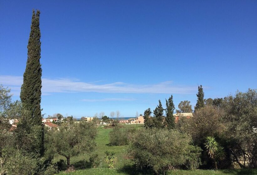 Alexander Apartments