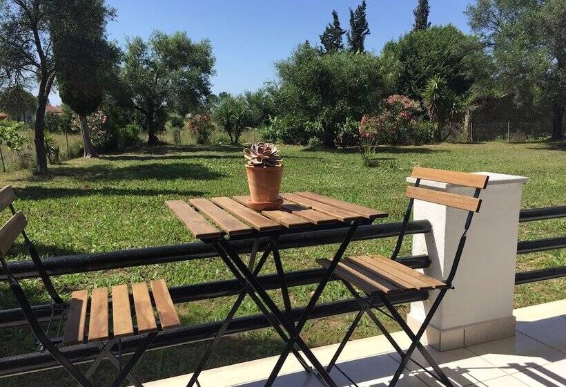 Alexander Apartments