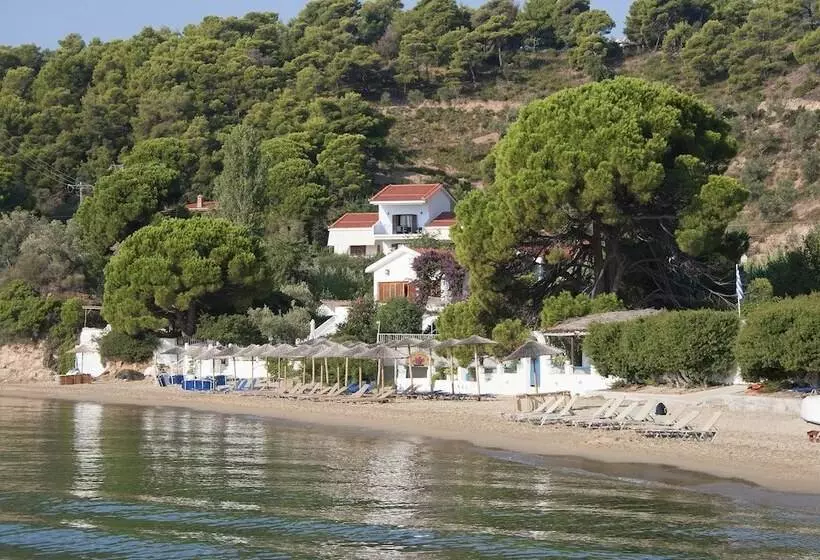 Nina S House