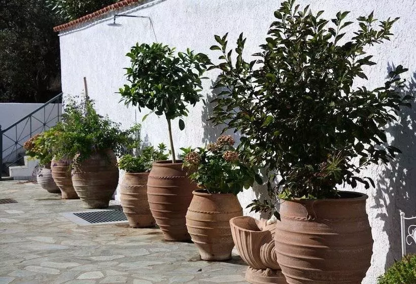 Nina S House