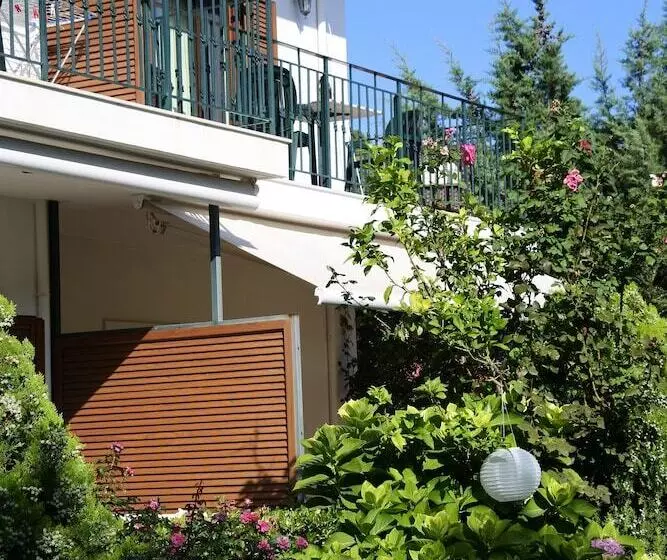 Nina S House