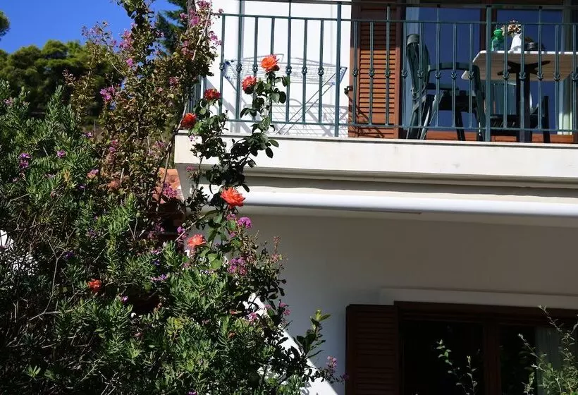 Nina S House